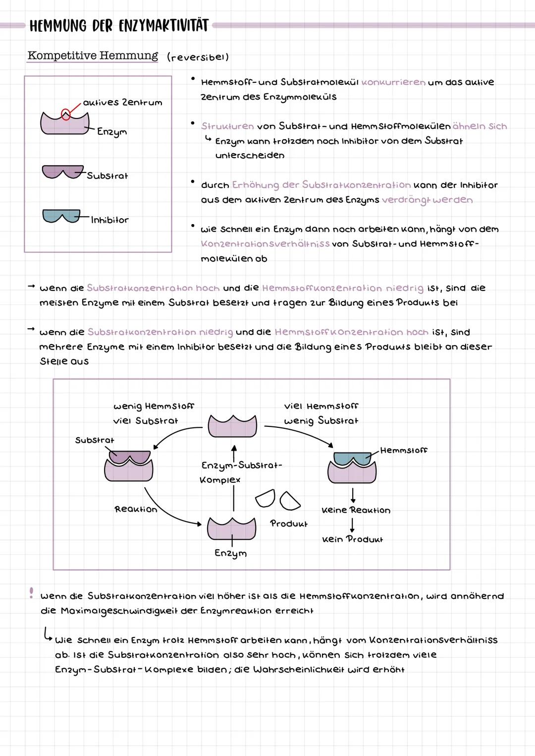 • Proteine mit Katalysarfunktion → beschleunigen chemische Reaktion
Enzyme werden durch die Reaktion nicht verändert
chemische Reaktionen la