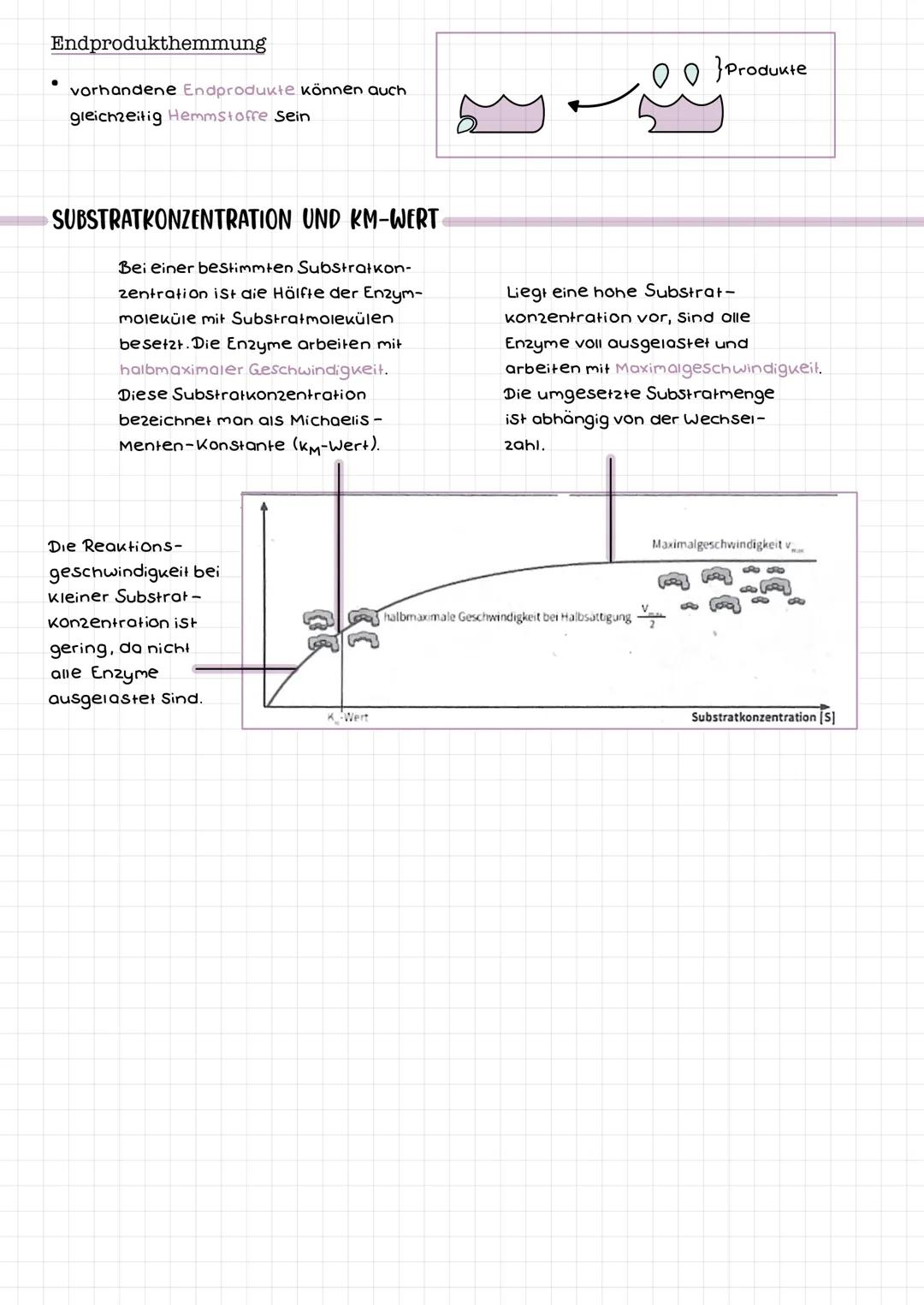 • Proteine mit Katalysarfunktion → beschleunigen chemische Reaktion
Enzyme werden durch die Reaktion nicht verändert
chemische Reaktionen la