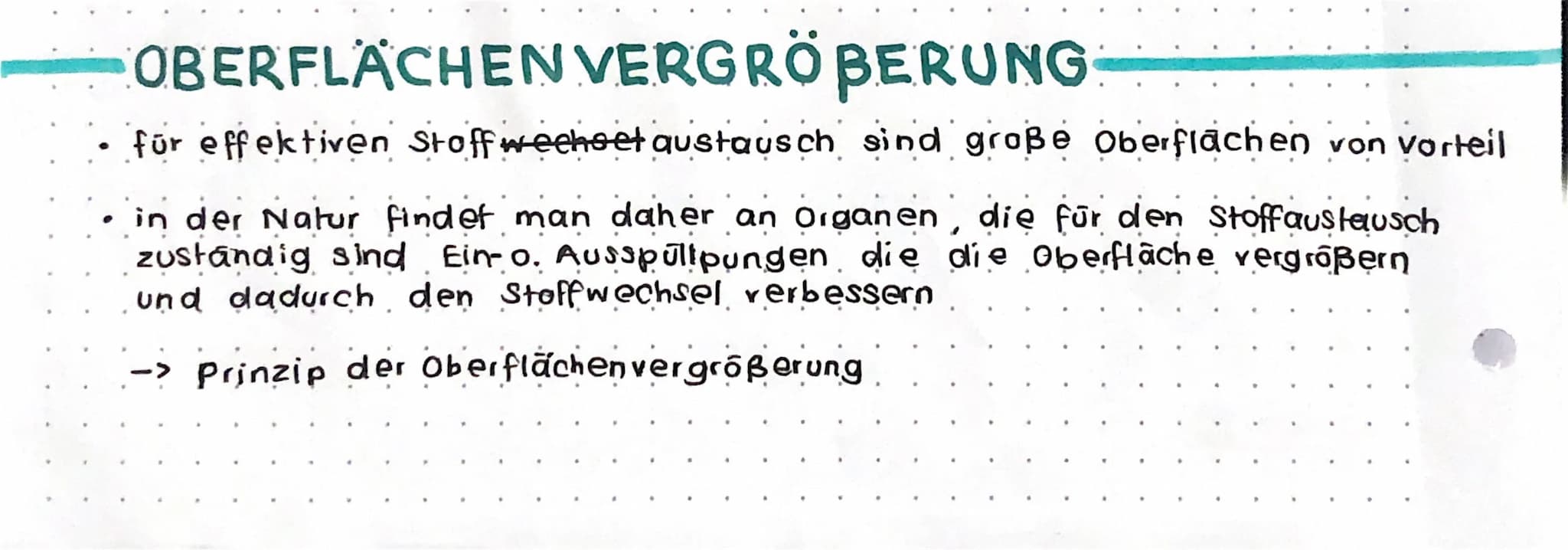 OBERFLÄCHEN VERGRÖBERUNG
für effektiven Stoffwechset austausch sind große Oberflächen von Vorteil
in der Natur findet man daher an Organen, 