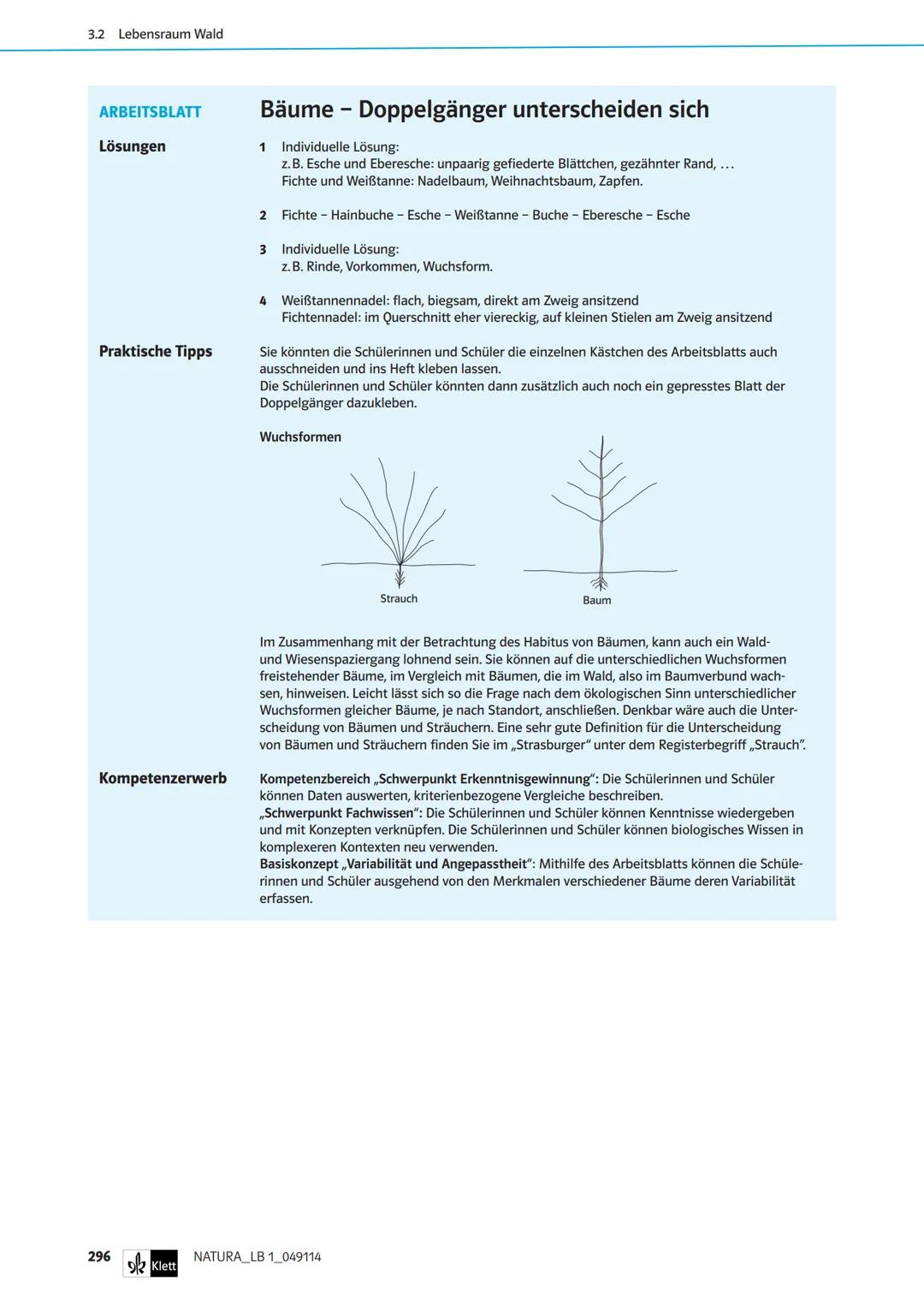 Die Organe von Blütenpflanzen im Vergleich
Das Wiesenschaumkraut hat weiße bis zart-violette Blüten und ist wie der Ackersenf ein Kreuzblüte