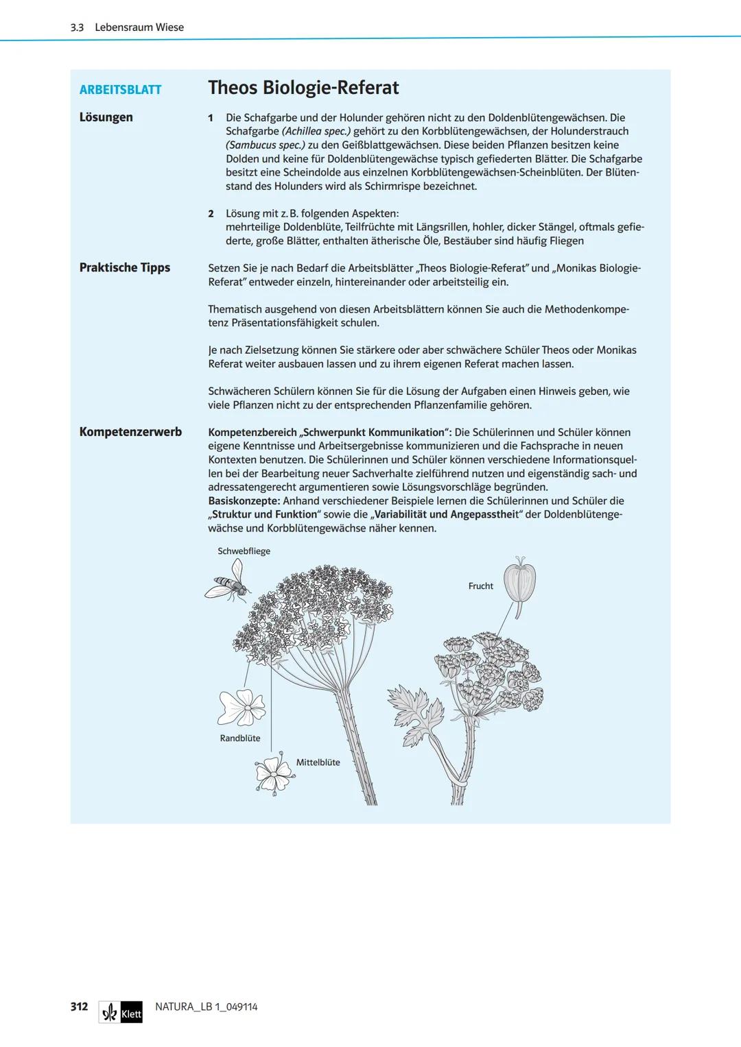 Die Organe von Blütenpflanzen im Vergleich
Das Wiesenschaumkraut hat weiße bis zart-violette Blüten und ist wie der Ackersenf ein Kreuzblüte