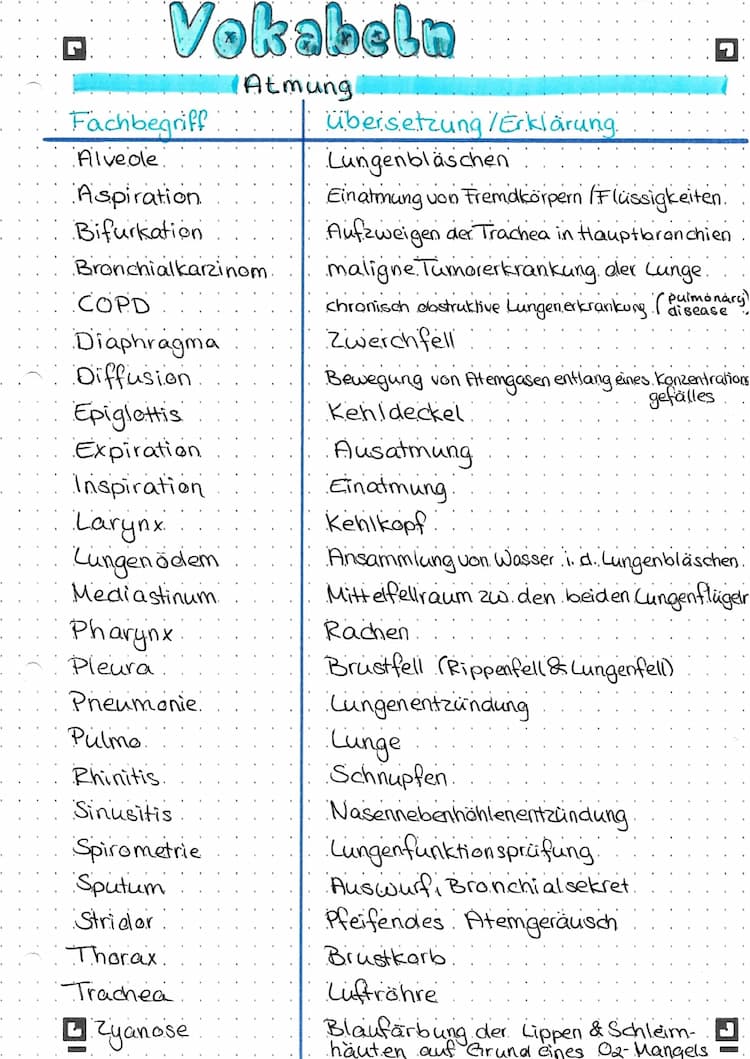 Know Vokabeln Atmung thumbnail