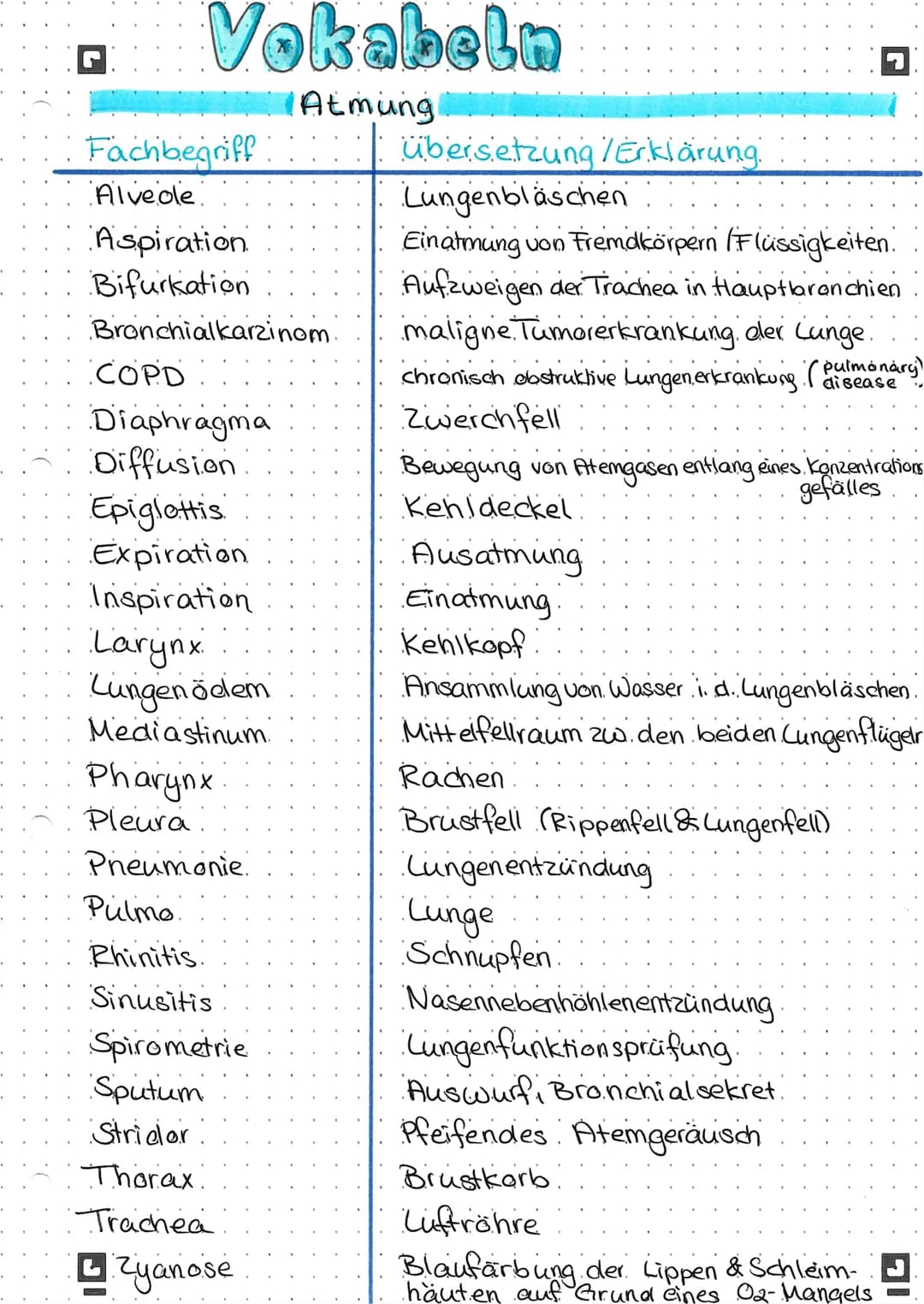 Vokabeln
Atmung
Fachbegriff
Alveole
Aspiration
Bifurkation
Bronchialkarzinom.
COPD
Diaphragma
Diffusion
Epiglottis
Expiration
Inspiration
La