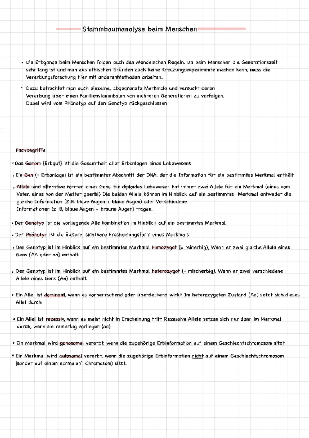 Stammbaum Analyse 