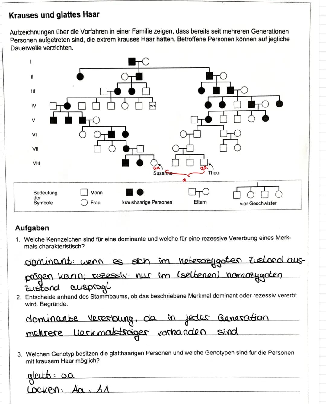 Stammbaumanalyse beim Menschen
• Die Erbgange beim Menschen folgen auch den Mendelschen Regeln. Da beim Menschen die Generationszeit
sehr la