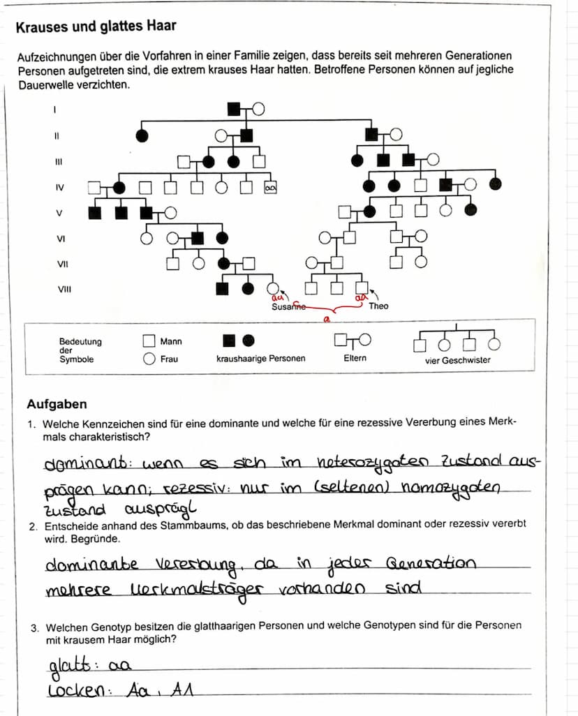 Stammbaumanalyse beim Menschen
• Die Erbgange beim Menschen folgen auch den Mendelschen Regeln. Da beim Menschen die Generationszeit
sehr la