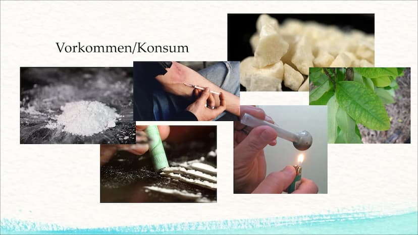 H3C-N.
Kokain
(Benzoylecgoninmethylester)
O
O
CH3 Gliederung
I. Allgemeines
II. Vorkommen/Konsum
III. Wirkungen im Körper
IV. Kurz-/Langzeit
