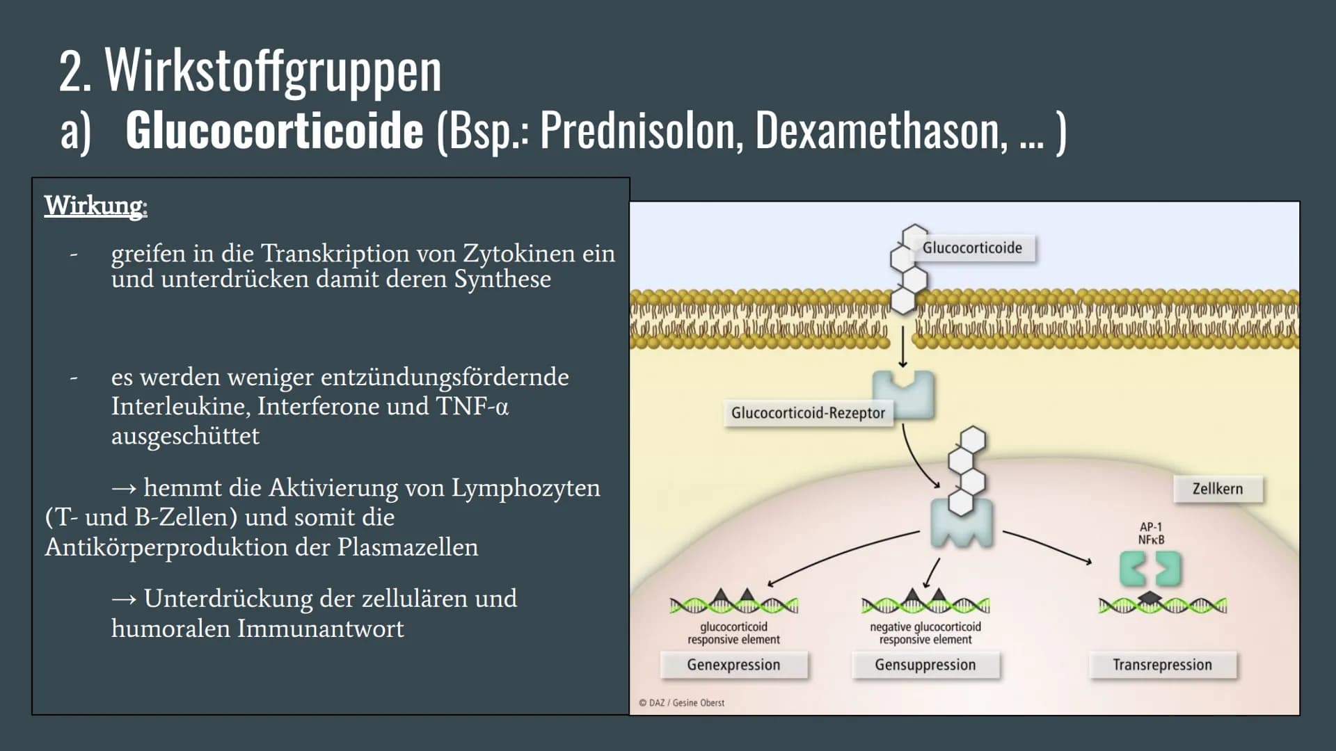 Immunsuppression
-Schmaler Grat zwischen Infektion und Abstoßung-
Def.: Immunsuppressiva sind Substanzen, welche die Funktion
des Immunsyste