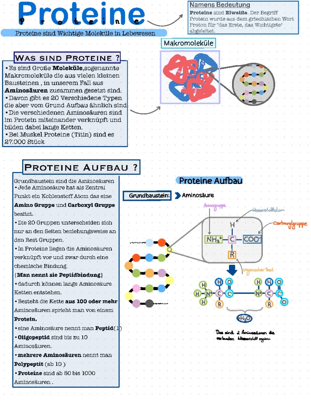 Proteine 