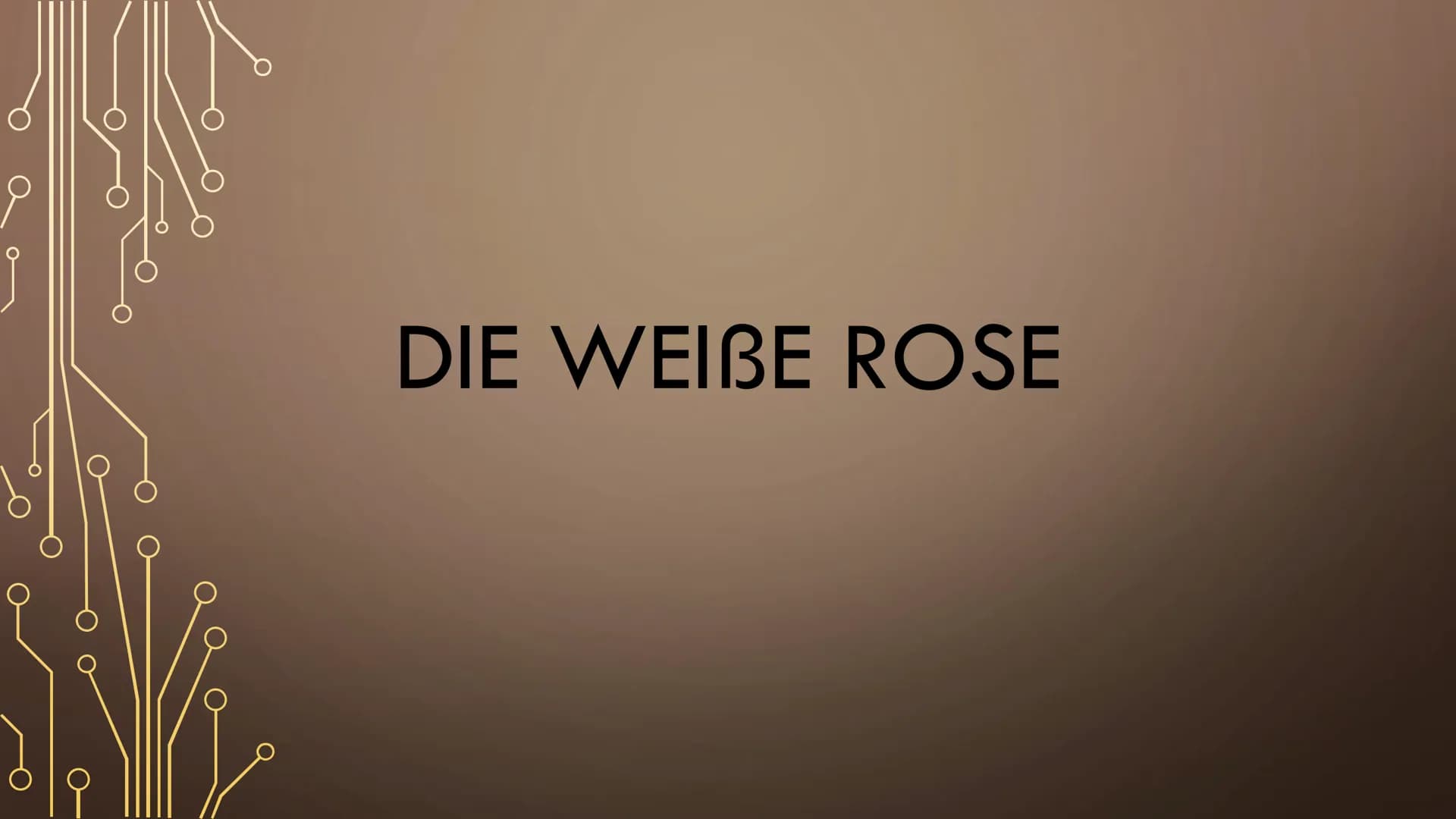 DIE WEIBE ROSE GLIEDERUNG
Was war die Weiße Rose und wie entstand sie?
Wer sind die Mitglieder der Weißen Rose?
Wie leistete die Gruppe Wied