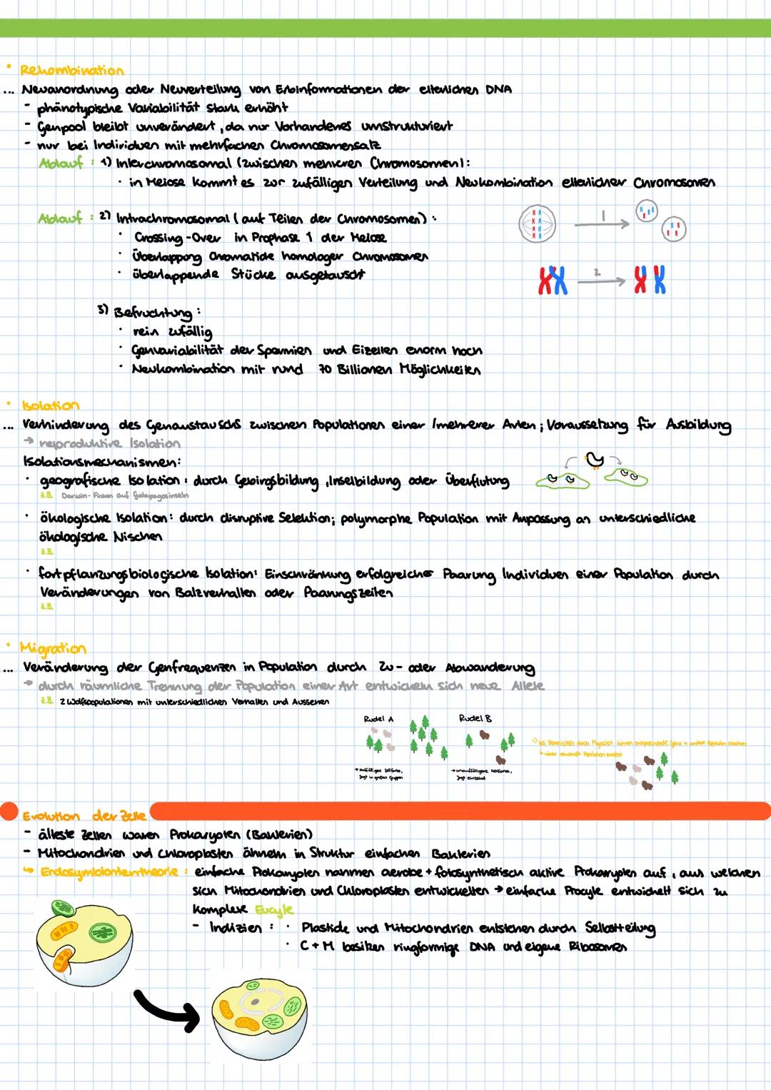 # Evolutionstheorien

• Evolutions theorien sind Eruläwngsansätze für die Entstehung und Entwicklung von Avien.

Varstellungen bis Darwin
- 