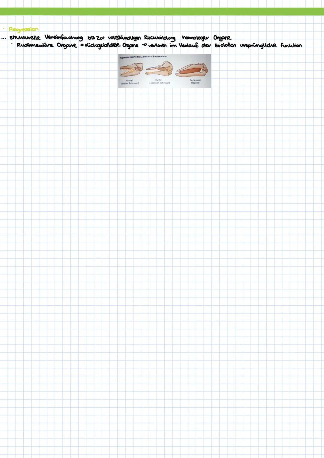 # Evolutionstheorien

• Evolutions theorien sind Eruläwngsansätze für die Entstehung und Entwicklung von Avien.

Varstellungen bis Darwin
- 