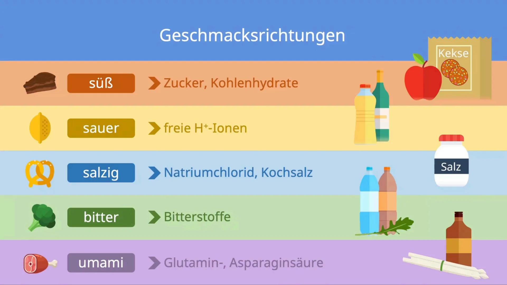 # Der Geschmackssinn

Eine Unterrichtsstunde Unterrichtsablauf

*   Grundlagen des Geschmackssinns
*   Mögliche Fehlfunktionen des Geschmack