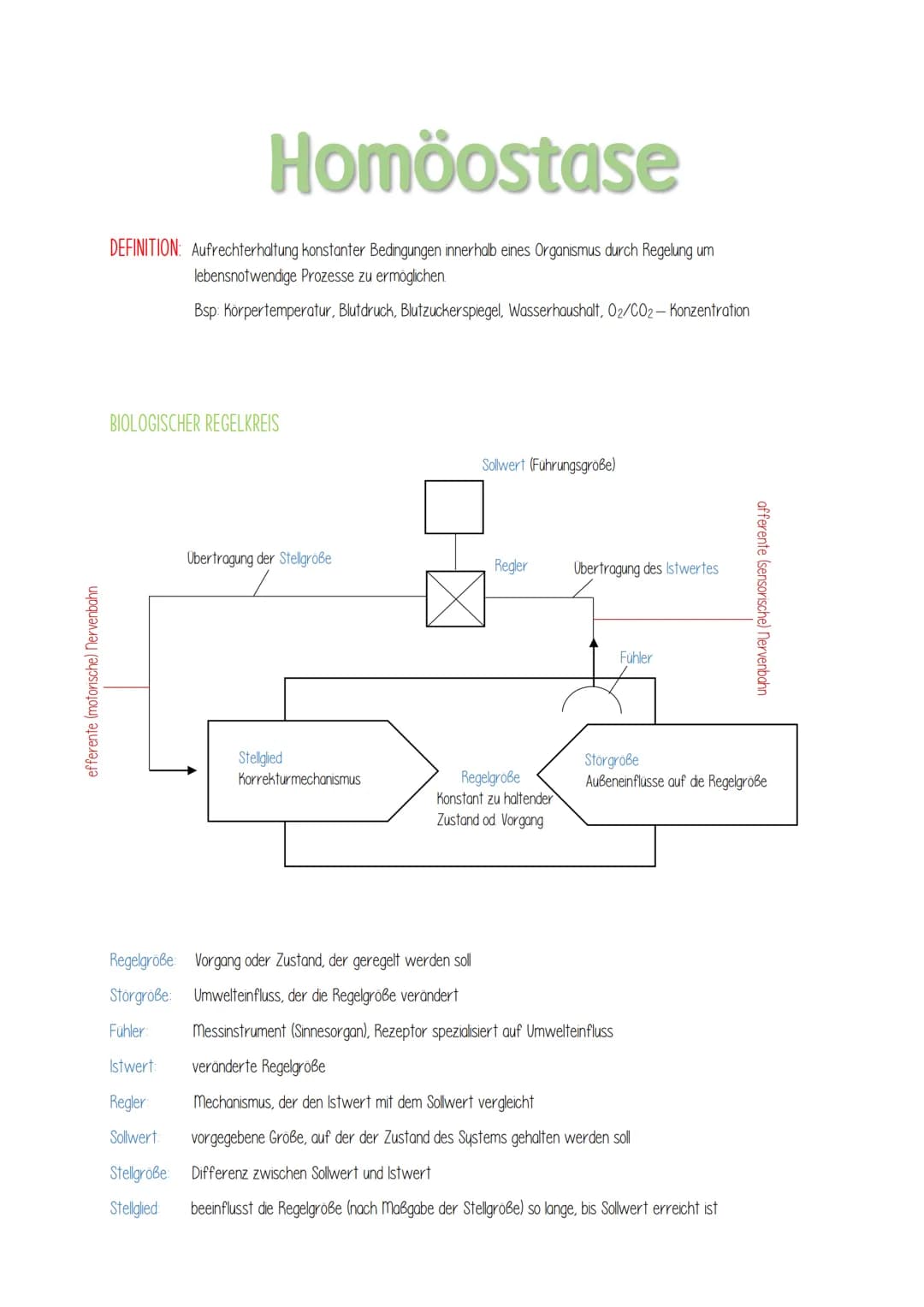 efferente (motorische) Nervenbahn
Homöostase
DEFINITION: Aufrechterhaltung konstanter Bedingungen innerhalb eines Organismus durch Regelung 