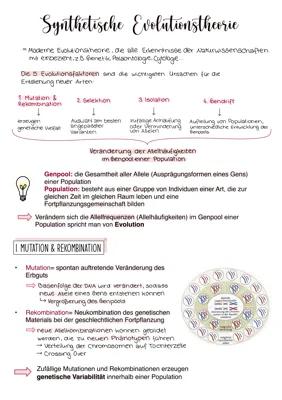 Know Synthetische Evolutionstheorie Zusammenfassung (Abi Baden-württemberg) thumbnail