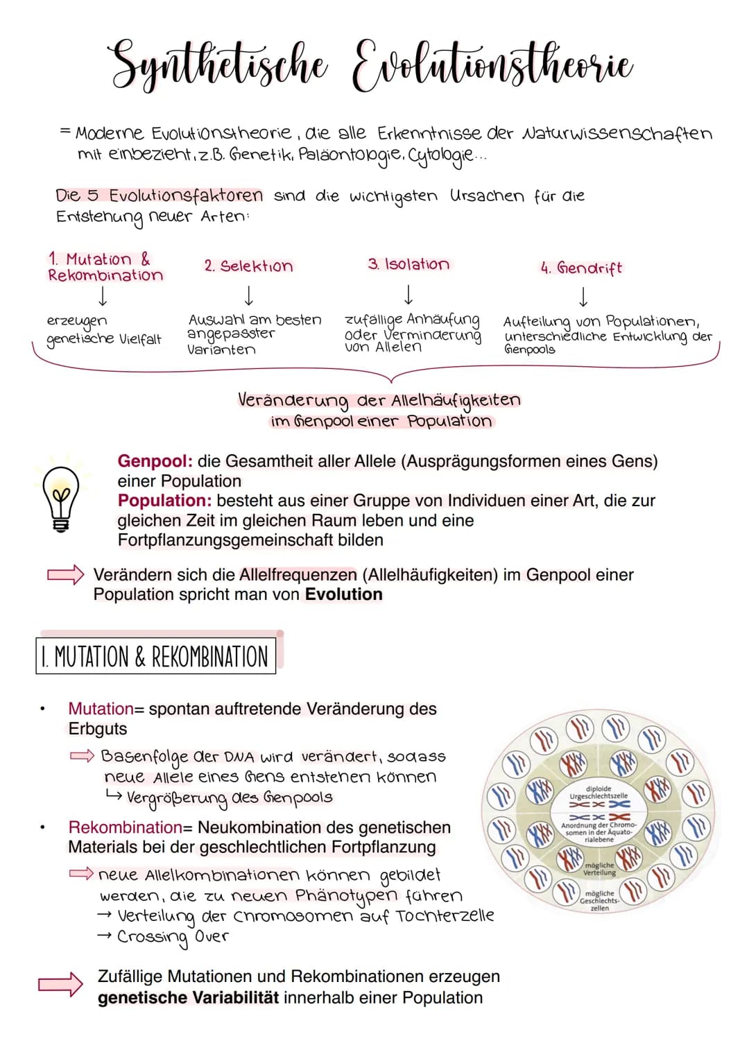 Synthetische Evolutionstheorie
= Moderne Evolutionstheorie, die alle Erkenntnisse der Naturwissenschaften
mit einbezieht, z.B. Genetik, Palä