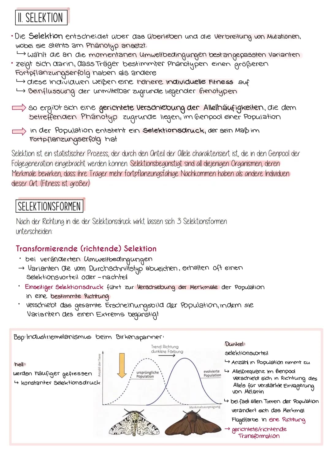 Synthetische Evolutionstheorie
= Moderne Evolutionstheorie, die alle Erkenntnisse der Naturwissenschaften
mit einbezieht, z.B. Genetik, Palä