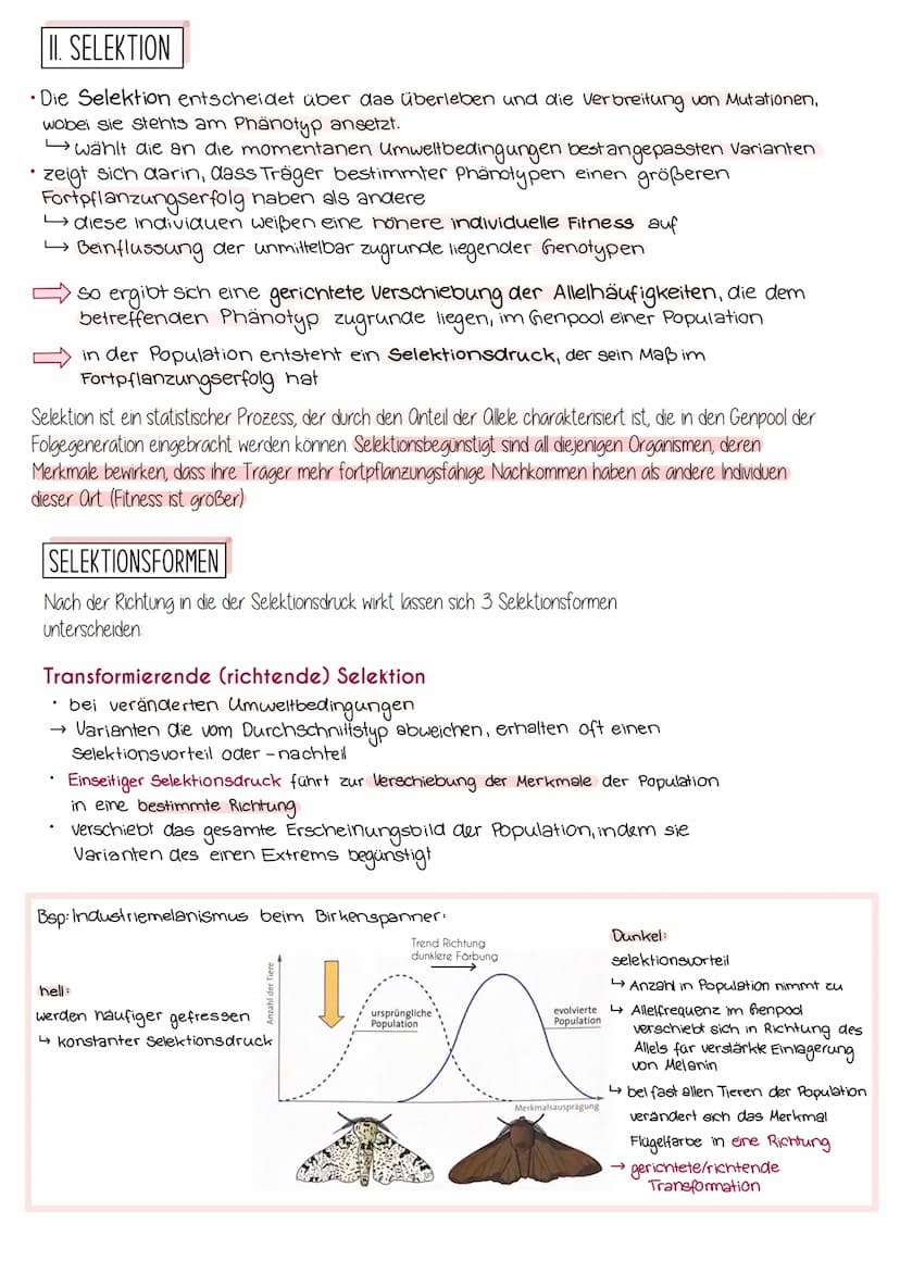 Synthetische Evolutionstheorie
= Moderne Evolutionstheorie, die alle Erkenntnisse der Naturwissenschaften
mit einbezieht, z.B. Genetik, Palä