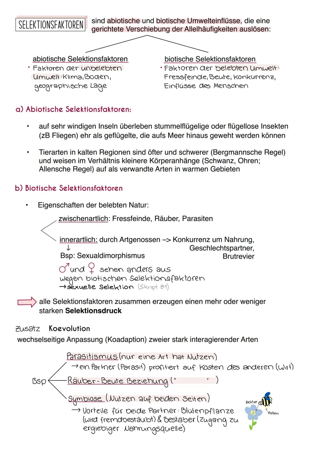 Synthetische Evolutionstheorie
= Moderne Evolutionstheorie, die alle Erkenntnisse der Naturwissenschaften
mit einbezieht, z.B. Genetik, Palä