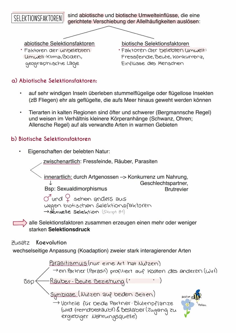 Synthetische Evolutionstheorie
= Moderne Evolutionstheorie, die alle Erkenntnisse der Naturwissenschaften
mit einbezieht, z.B. Genetik, Palä