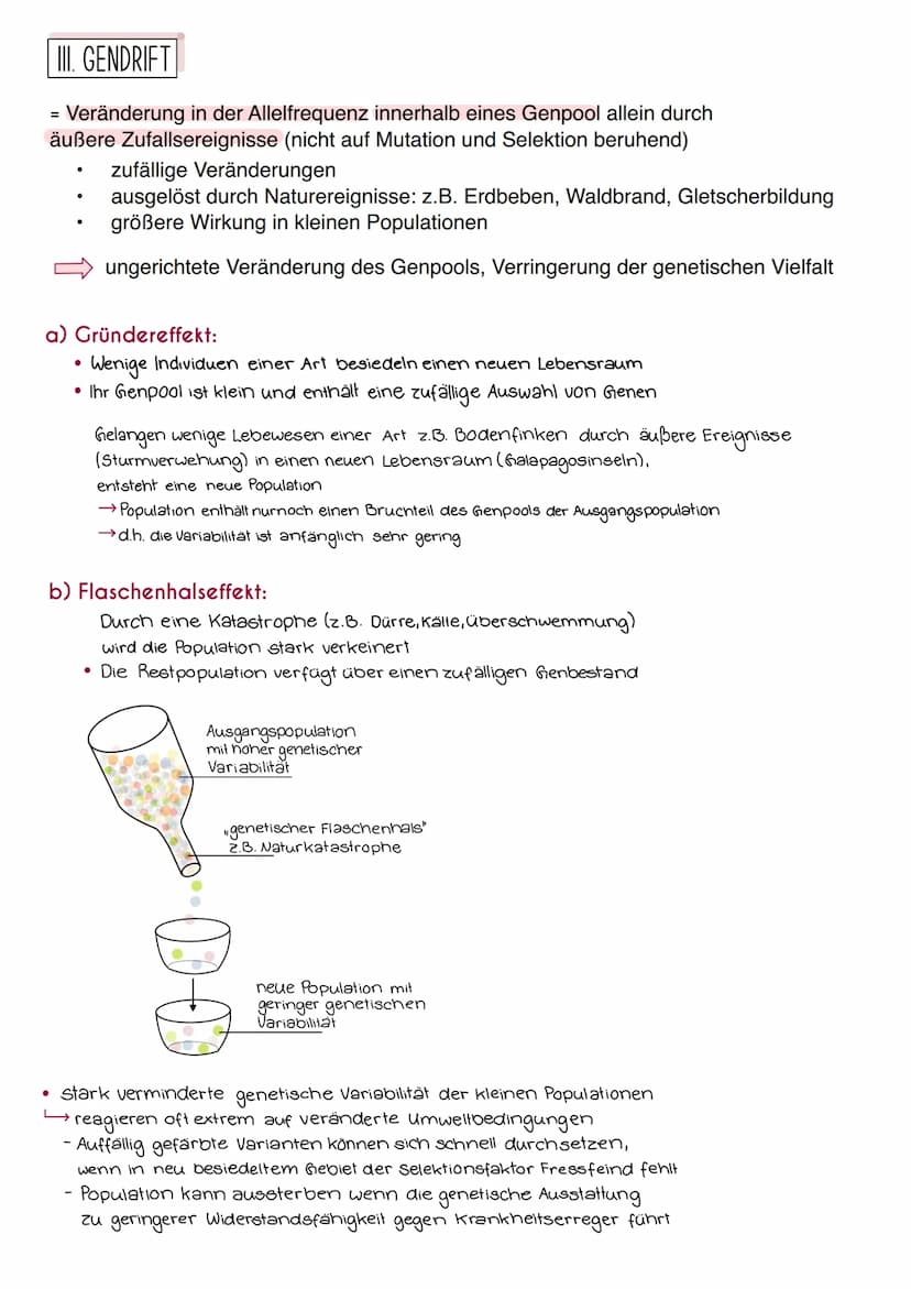 Synthetische Evolutionstheorie
= Moderne Evolutionstheorie, die alle Erkenntnisse der Naturwissenschaften
mit einbezieht, z.B. Genetik, Palä
