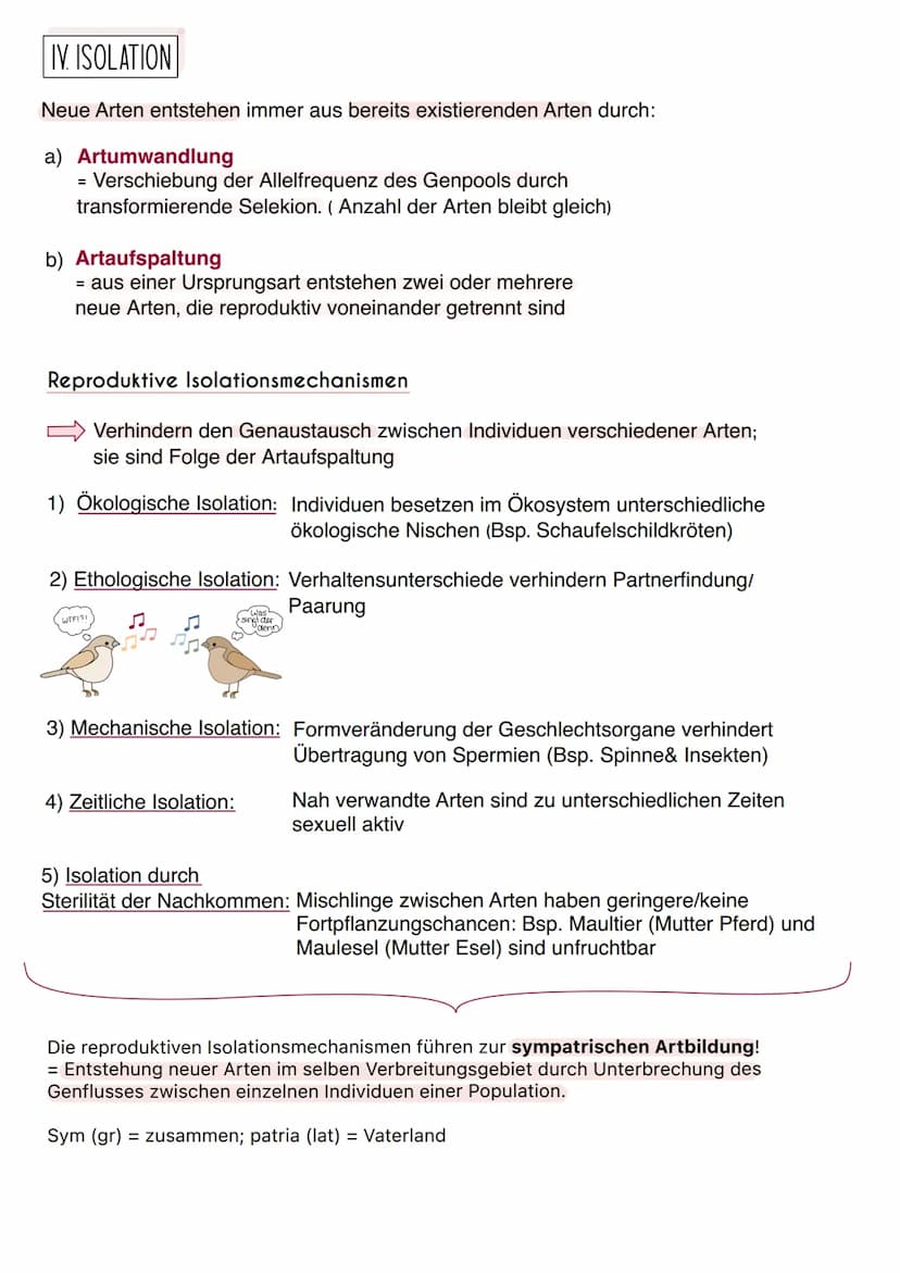 Synthetische Evolutionstheorie
= Moderne Evolutionstheorie, die alle Erkenntnisse der Naturwissenschaften
mit einbezieht, z.B. Genetik, Palä