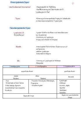 Know Immunbiologie Bio Abi thumbnail