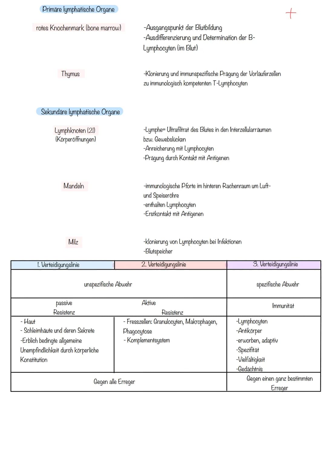 Primäre lymphatische Organe
rotes Knochenmark (bone marrow)
Thymus
Sekundäre lymphatische Organe
Lymphknoten (21)
(Körperöffnungen)
Mandeln
