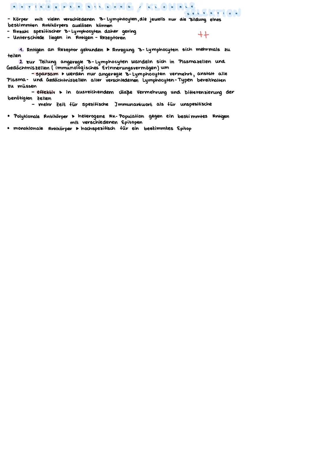 Primäre lymphatische Organe
rotes Knochenmark (bone marrow)
Thymus
Sekundäre lymphatische Organe
Lymphknoten (21)
(Körperöffnungen)
Mandeln
