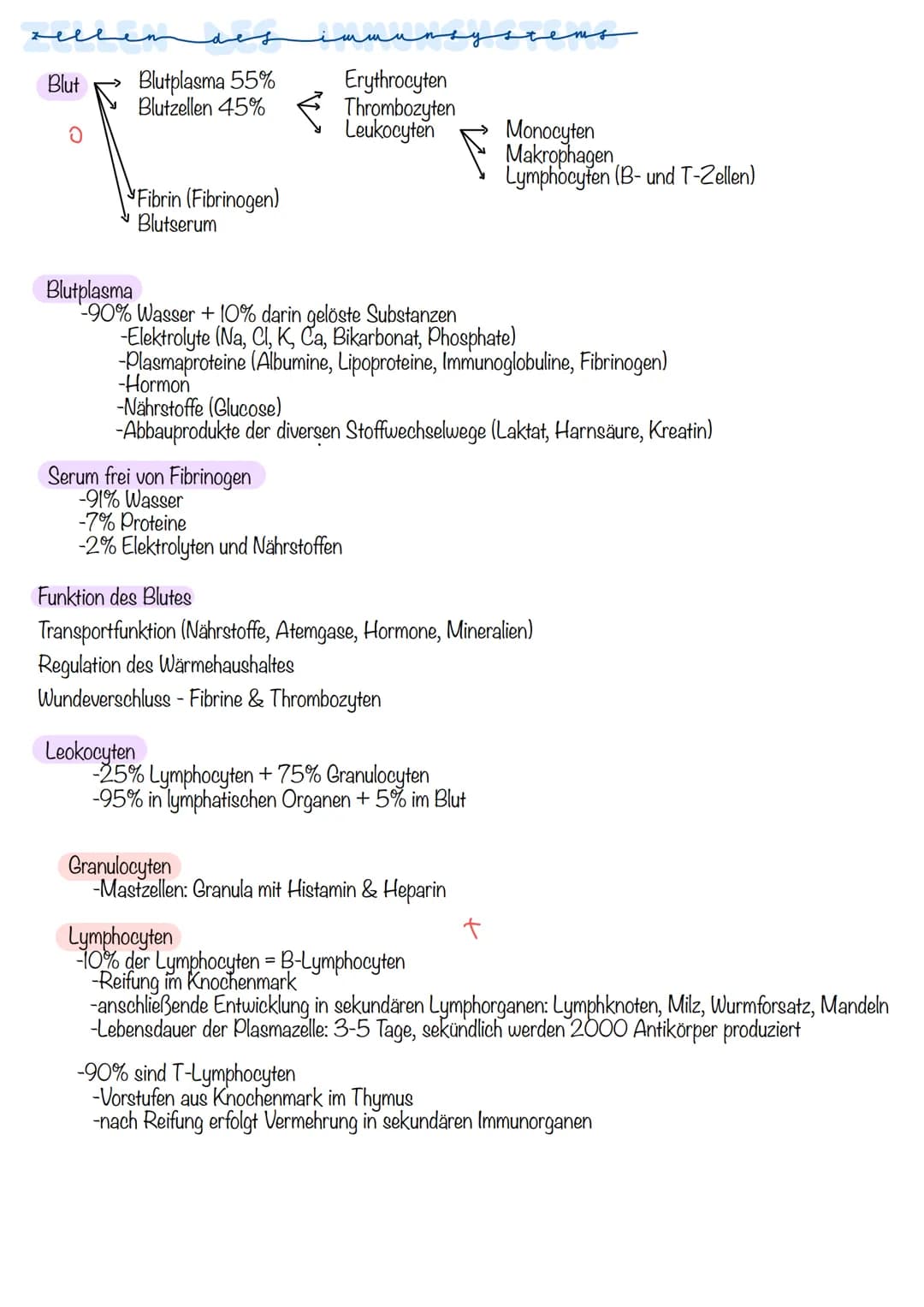 Primäre lymphatische Organe
rotes Knochenmark (bone marrow)
Thymus
Sekundäre lymphatische Organe
Lymphknoten (21)
(Körperöffnungen)
Mandeln
