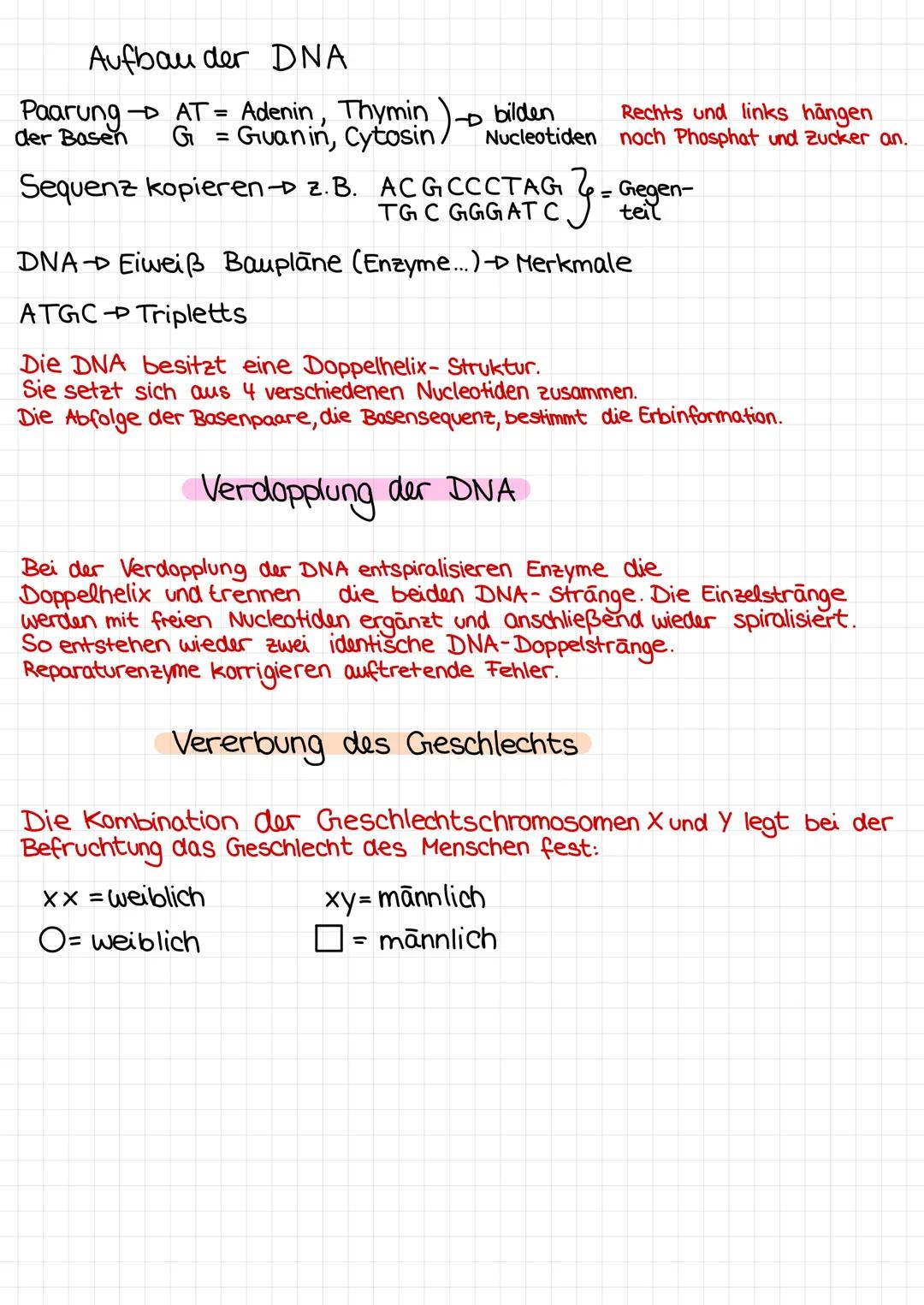Mitose →
bio
2 identische Tochterzellen
(46 Chromosomen pro Zelle)
=> Wachstum/Wundheilung
Meiose → Bildung von Keimzellen
(Eizelle Samenzel