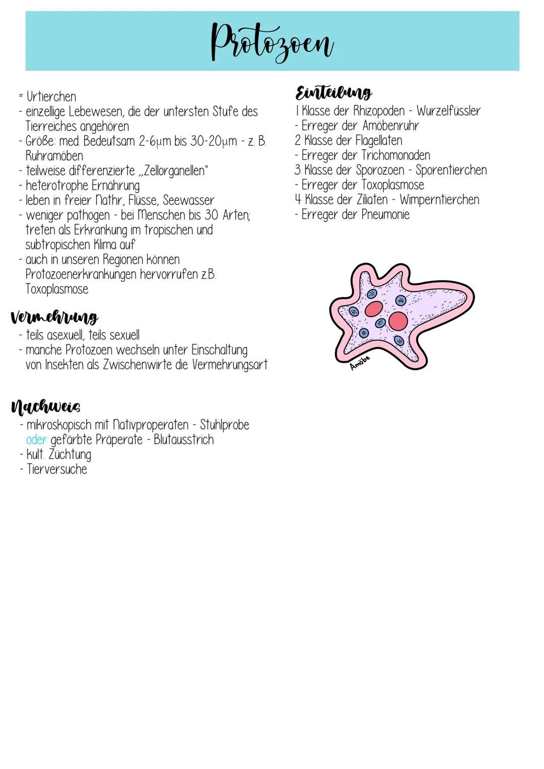 # Mikrobiologie

**Arbeitsgebiete**

- Teilgebiet der Biologie, Lehre von Mikroorganismen,
die als Individuen nicht mit bloßem Auge erkennba