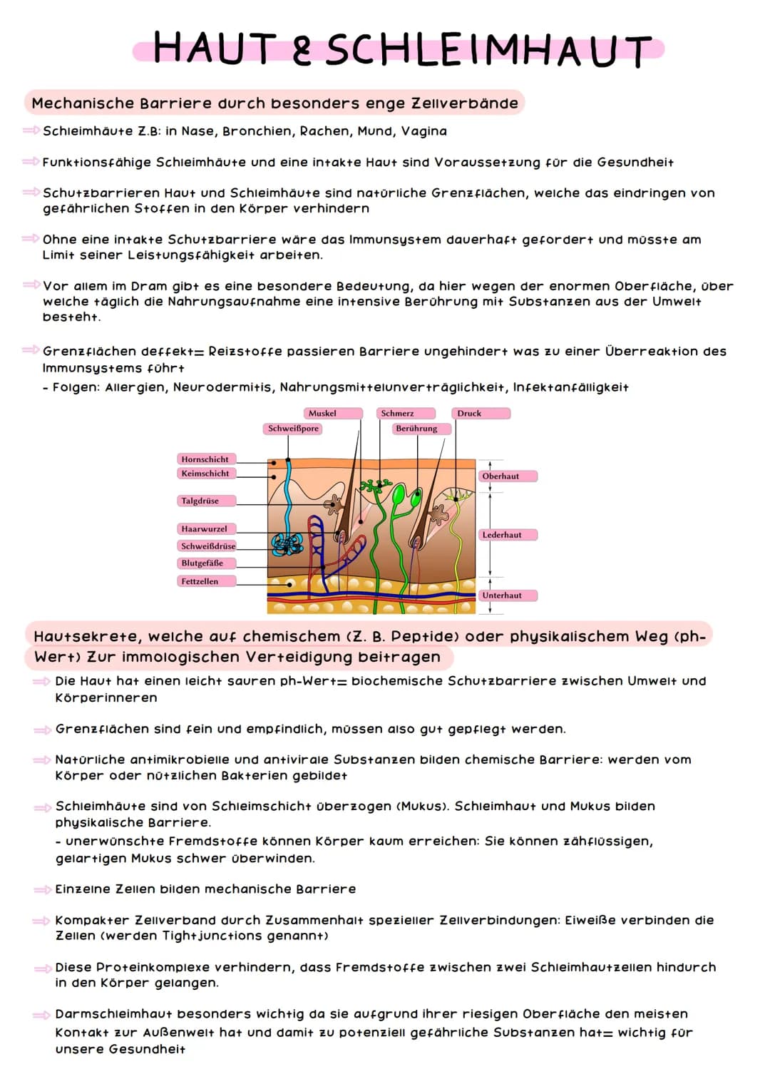 IM M MUNSYSTEM
Das Immunsystem ist lebenswichtig: Es schützt den Körper vor Schadstoffen,
Krankheitserregern und krankmachenden Zellveränder