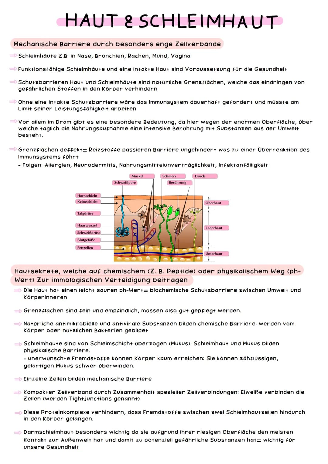 Wie Du Dein Mukosa-Immunsystem Stärken und Schleimhäute Gesund Halten Kannst