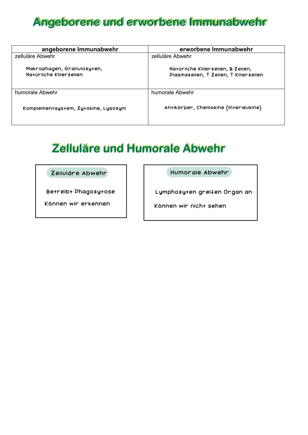 IM M MUNSYSTEM
Das Immunsystem ist lebenswichtig: Es schützt den Körper vor Schadstoffen,
Krankheitserregern und krankmachenden Zellveränder