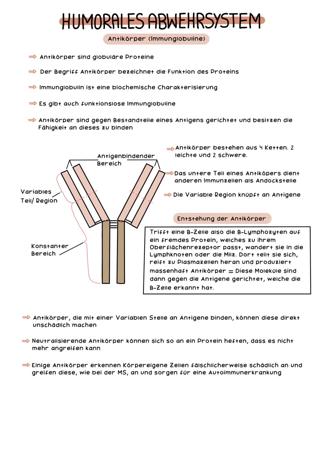 Wie Du Dein Mukosa-Immunsystem Stärken und Schleimhäute Gesund Halten Kannst