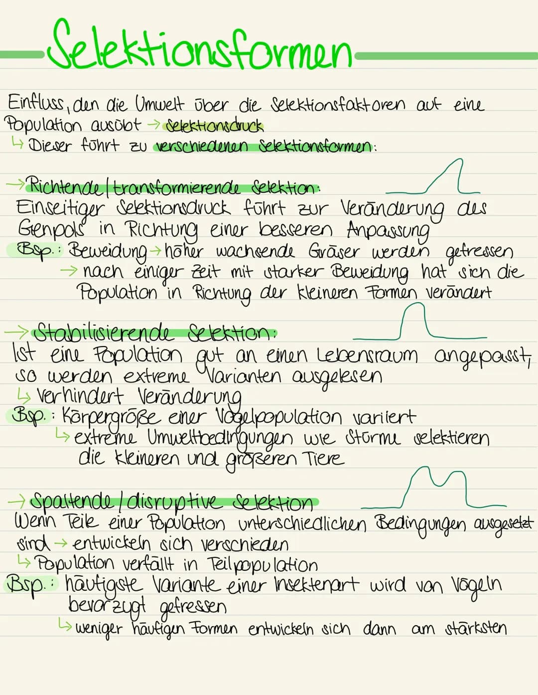 Richtende | transformierende Selektion
Anzahl der
Individuen
Selektionsformen.
Selektions
druck
Herkmal (Bsp. Laufgeschwindigkeit)
Selektion