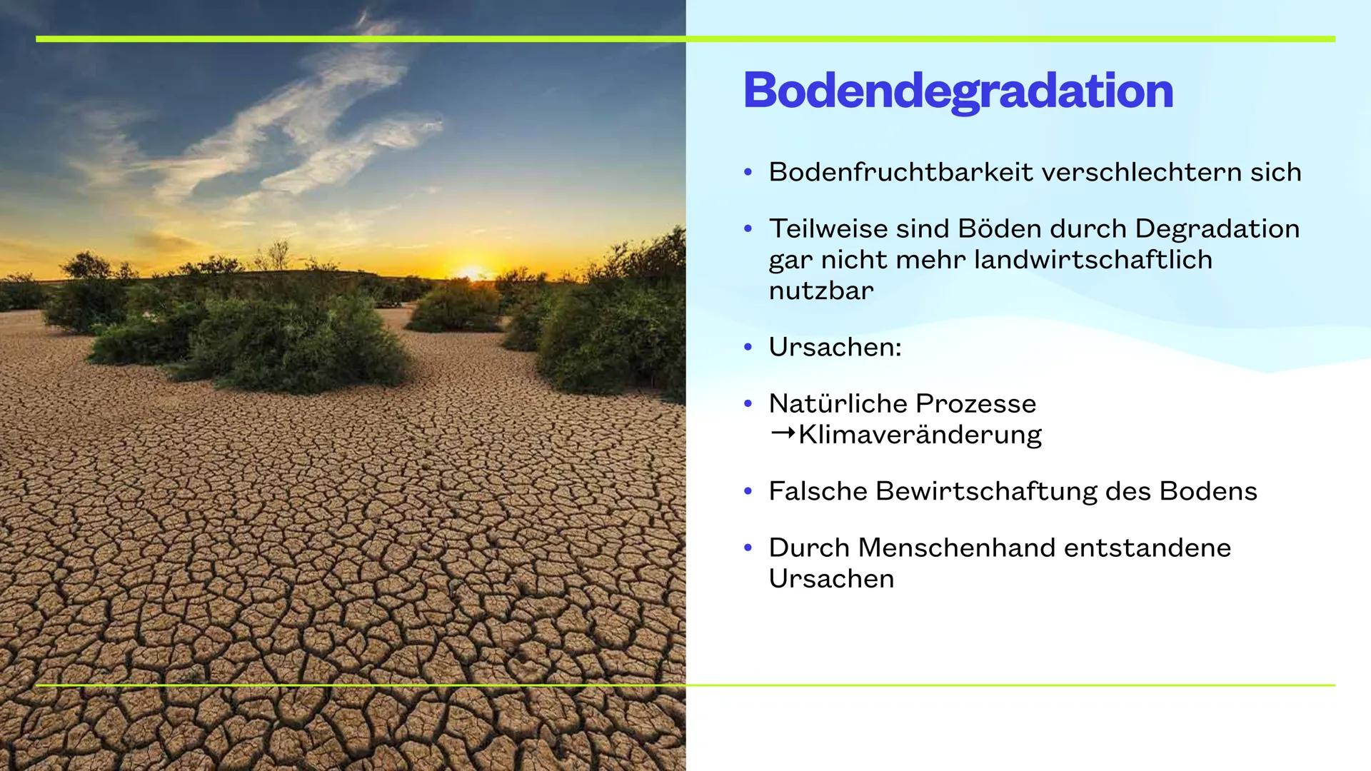 LARA, MORITZ UND KLARA
Landwirtschaft
Intensivierung in den
gemäßigten Zonen und Subtropen THEMEN
●
• Landwirtschaft: gemäßigte Zone
Konvent