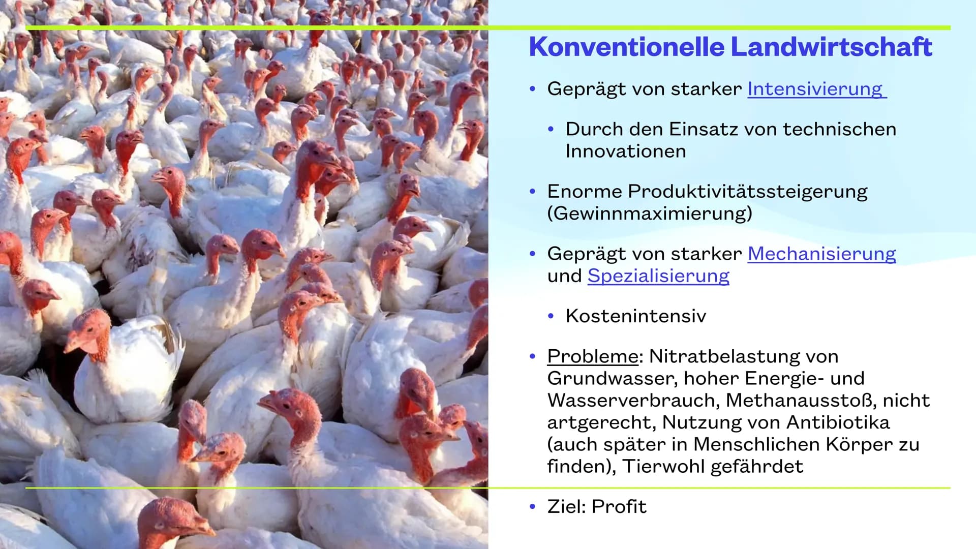 LARA, MORITZ UND KLARA
Landwirtschaft
Intensivierung in den
gemäßigten Zonen und Subtropen THEMEN
●
• Landwirtschaft: gemäßigte Zone
Konvent