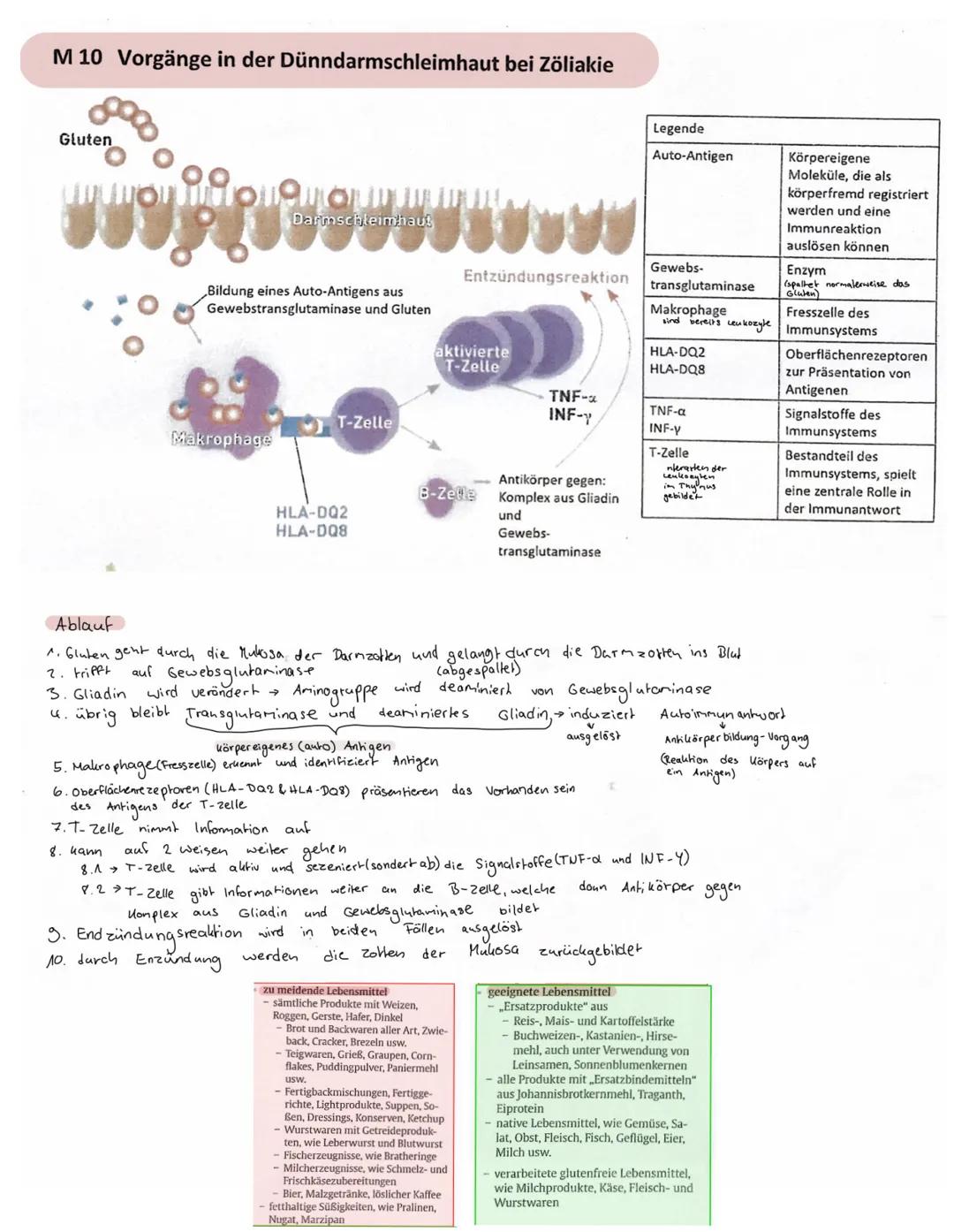 # ZÖLIAKIE

Was ist Zöliakie?
*   chronische Erkrankung.
*   beschränkt sich auf Darm
& verschiedene Organsystene
wird als Systemerkrankung
