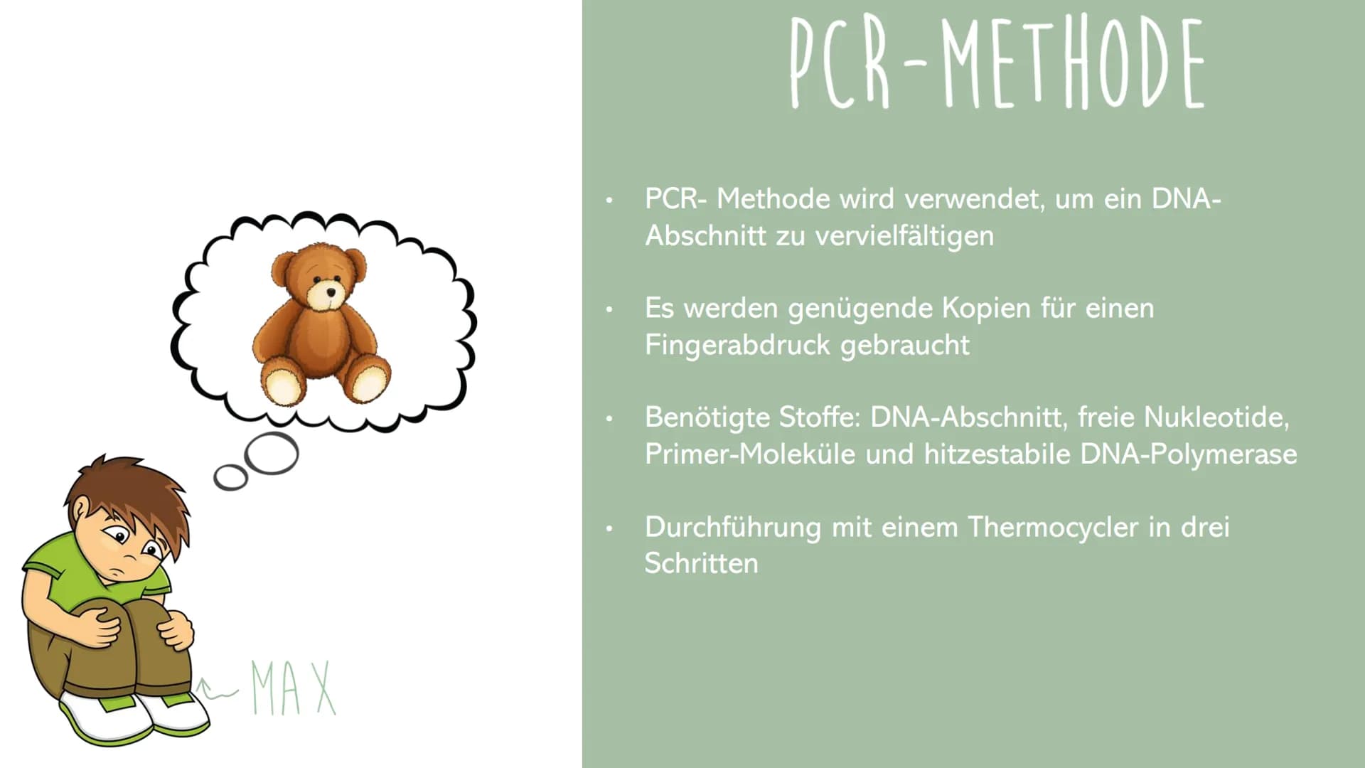 Sevval Arslanoglu
GENETISCHER FINGERA BD RUCK
MIT DEN ARBEITSWEISEN
PCR &
Gelelektrophorese ●
Inhaltsverzeichnis
Genetischer Fingerabdruck
P