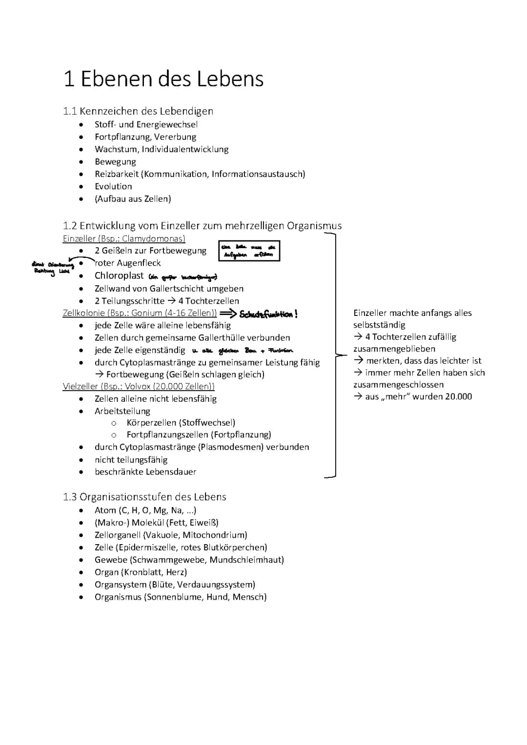 Bio Zusammenfassung Oberstufe Teil 1