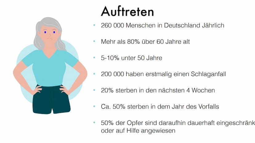Der
Schlaganfall
Helin 10D
Biologie Gliederung
1. Was ist der Schlaganfall eigentlich?
2. Auftreten
3. Risikofaktoren
4. Ursachen
5. Symptom
