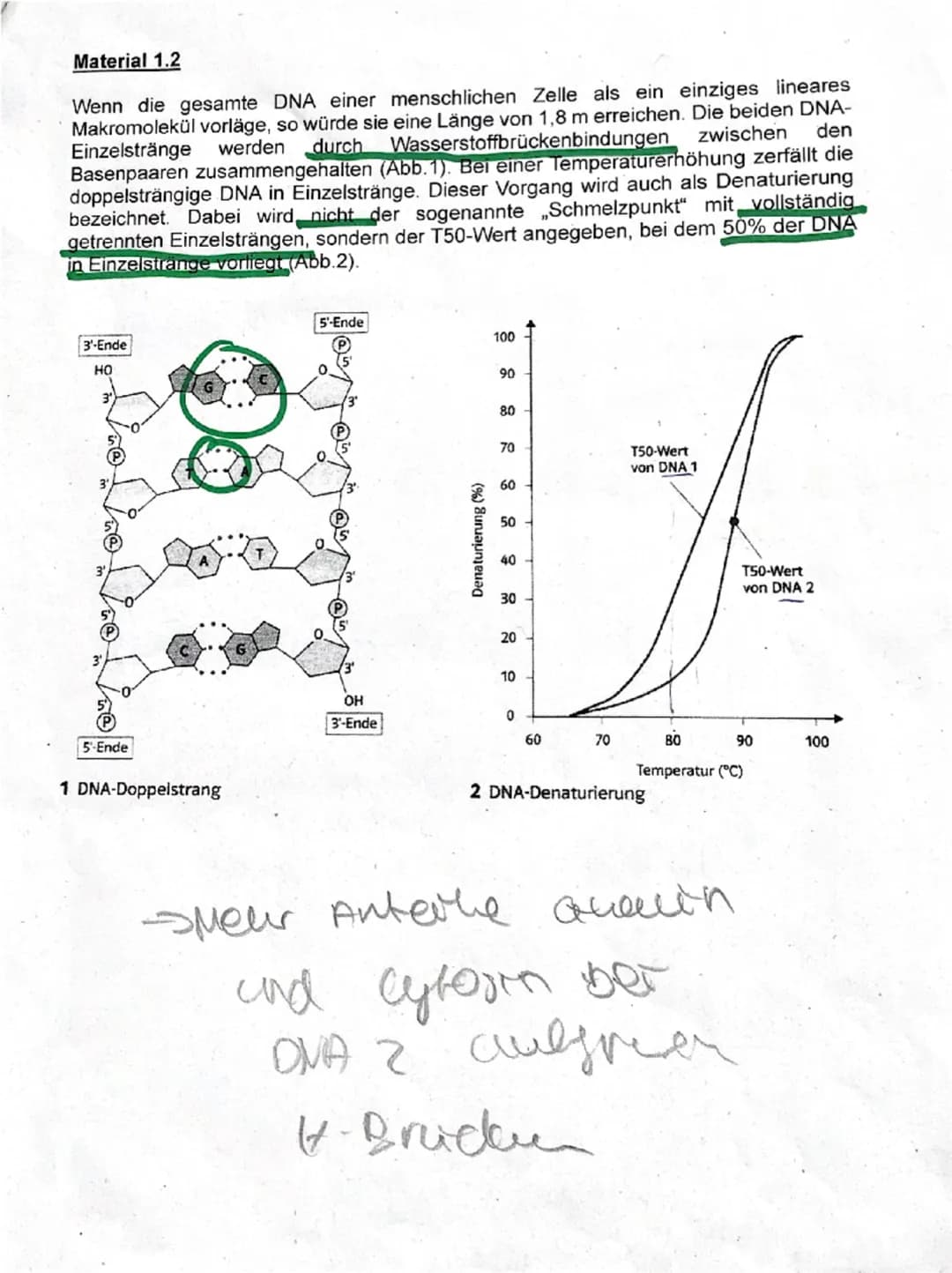 1. DNA
1.1 Beschriften Sie die Abbildung in Material 1.1 mit den entsprechenden Begriffen.
5 15 BE
✓1.2 In einem Experiment wurden zwei DNA-