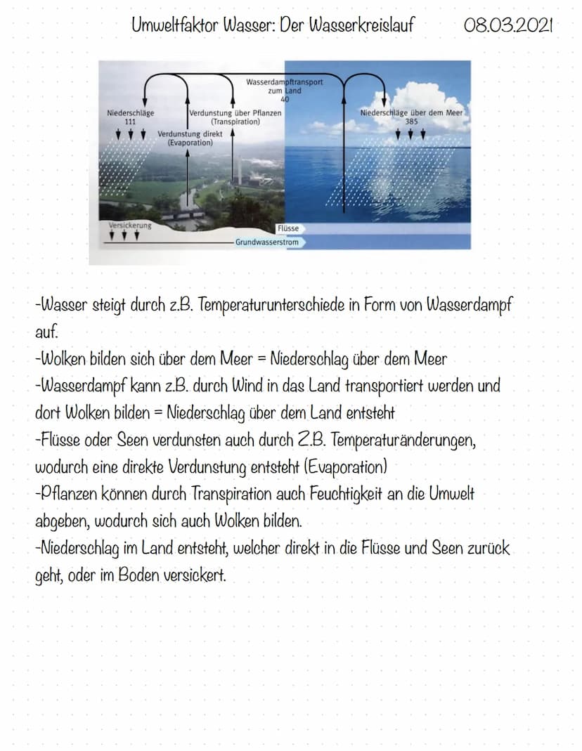 Ökologie
Definition:
Ökologie = Oikos und logos (griechisch) für Hows / Umwelt und Lehre
→Ökologie ist die Lehre vom Houshalt der Natur und 