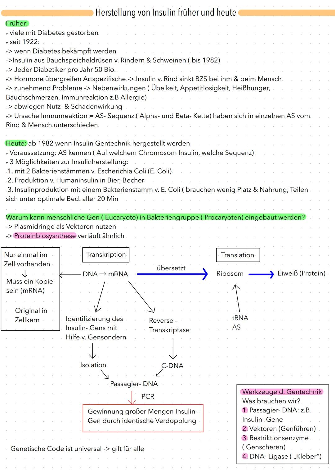 Früher:
viele mit Diabetes gestorben.
- seit 1922:
-> wenn Diabetes bekämpft werden.
->Insulin aus Bauchspeicheldrüsen v. Rindern & Schweine