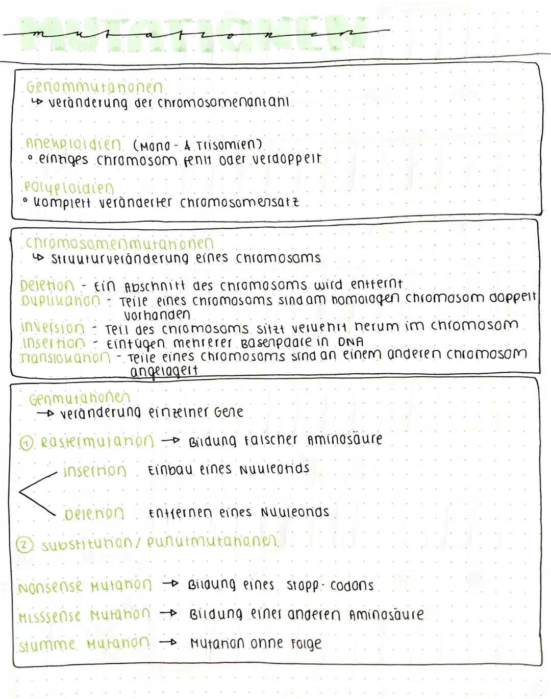 Genommuranonen.
veränderung der chromosomenantani.
Aneuploidien (Mono - A Trisomien)
•	einziges chromosom fenit oder verdoppelt
Ροιφρίσιαίος