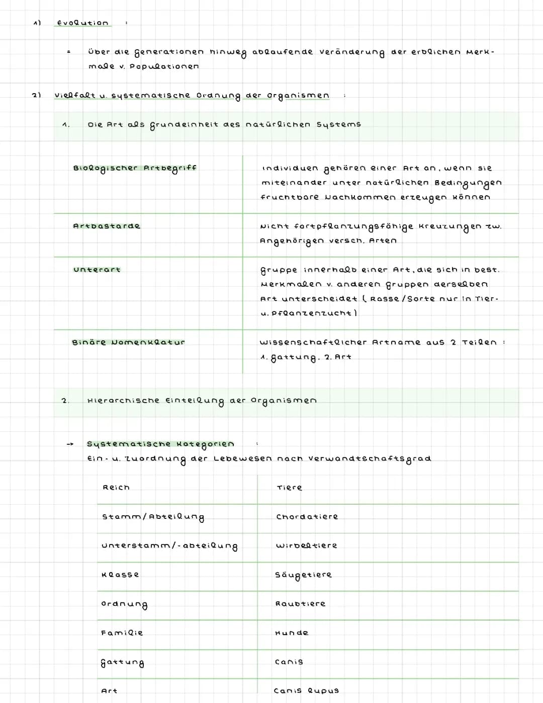 Abilernzettel Biologie NRW: Evolution