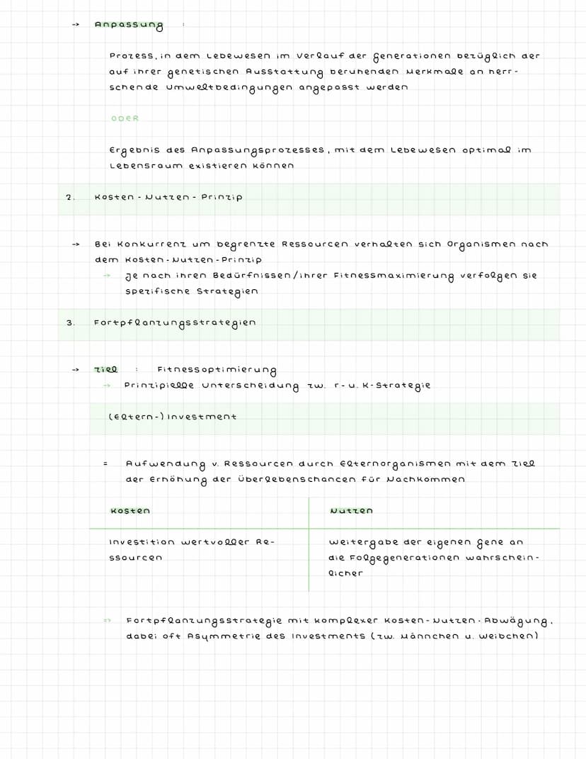 ^)
2)
Evolution
über die generationen hinweg ablaufende veränderung der erblichen Merk-
male v. Populationen
Vielfalt u. systematische Ordnu