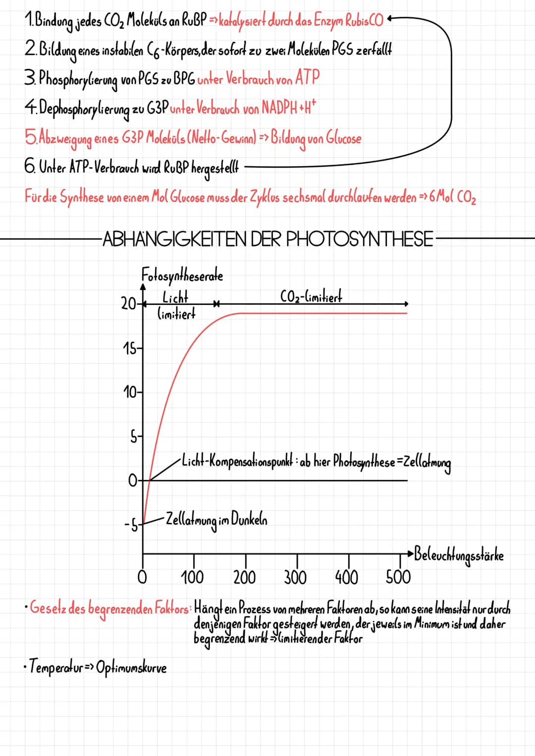 Epidermis
Schwammparenchym
Alemhöhle
Cuticula
-PHOTOSYNTHESE
-AUFBAU DES BLATTES-
Xylem, Phloem
TOOT
-Cuticula
Palisadenparenchym
-Sklerench